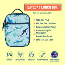 Load image into Gallery viewer, Shark Attack Day2Day Lunch Box
