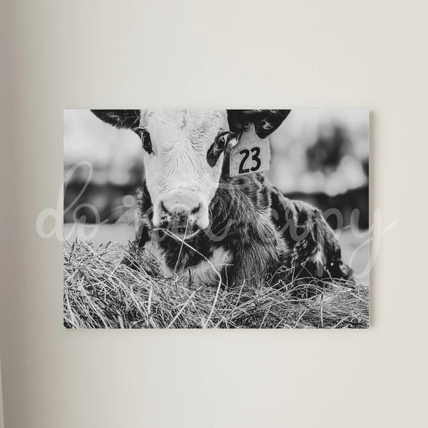 Baby Cow Tag 23 Printed Canvas