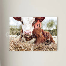 Load image into Gallery viewer, Baby Cow Tag 23 Printed Canvas
