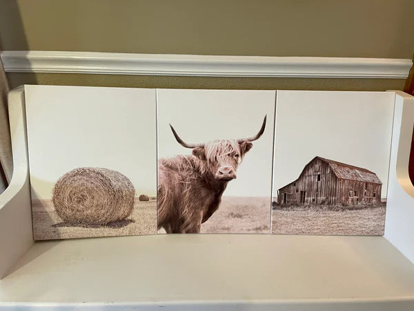 Cow Scene (Set of 3) Printed Canvas